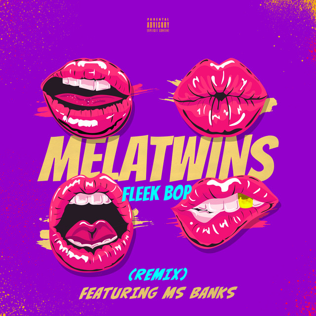 Fleek Bop - Remix — MelaTwins, Ms Banks; Sean D: Engineer, Mastering