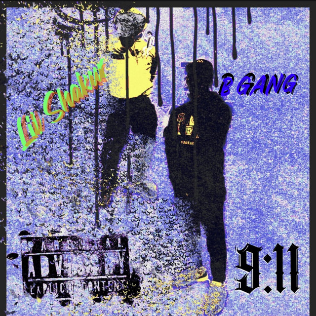 Fancy — B Gang, Lil Shakur, SeannyBeatz; Sean D: Composer, Lyricist