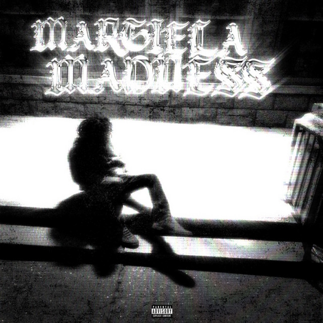 MARGIELA MADNESS — jamesstfu, glizzxen; Sean D: Lyricist